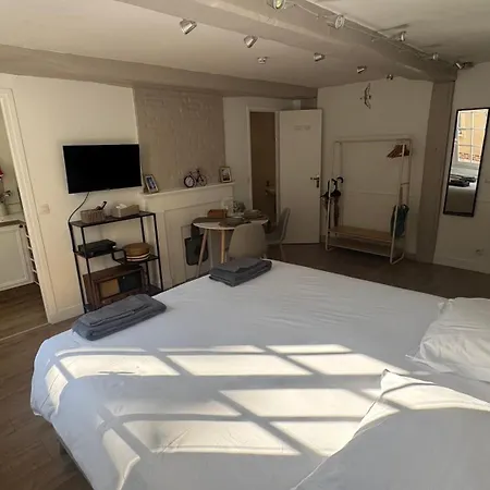 Apartment 250m Du Port - Hypercentre - Du Xveme Siecle