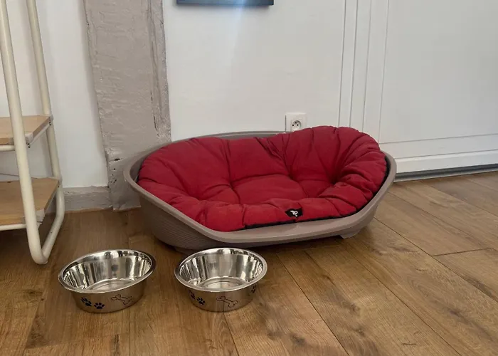 Apartment Centre Historique - 3 Etoiles